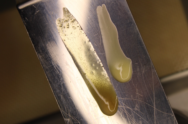 WHAT ARE TERPENES AND WHY DO THEY MATTER?