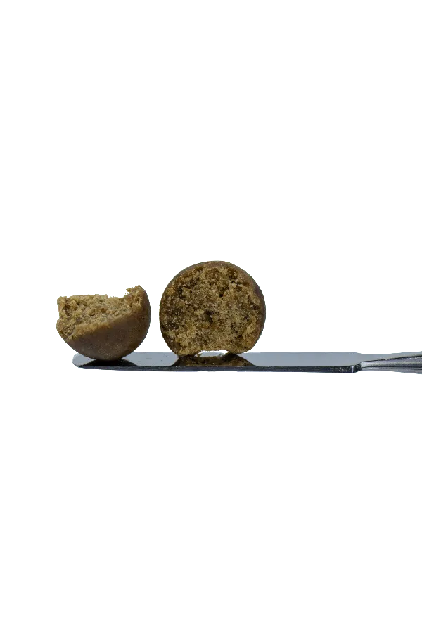 Temple Ball Hash: G41