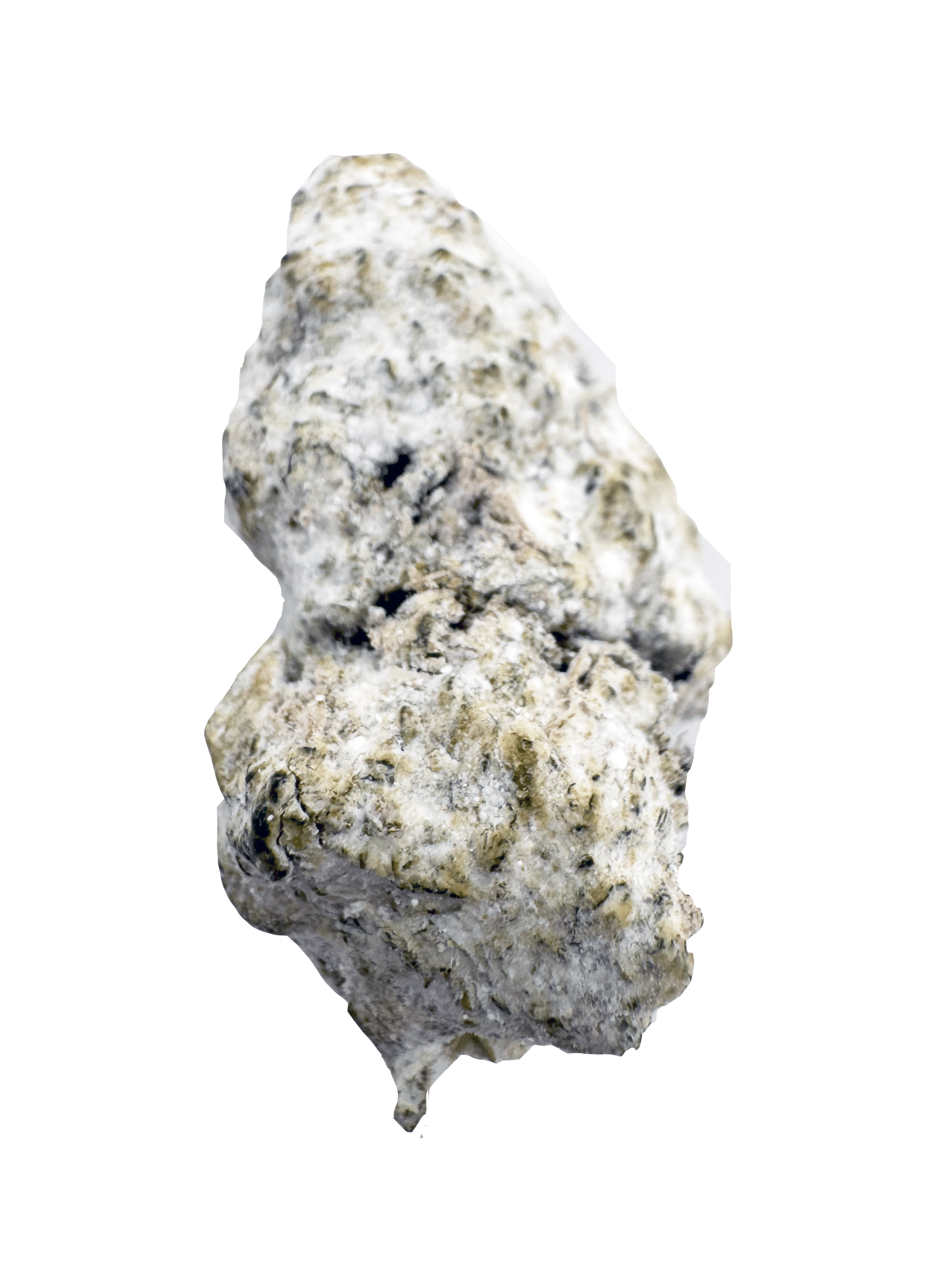 Lucky Charms Snow Caps